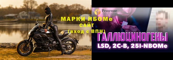 сатива Бородино