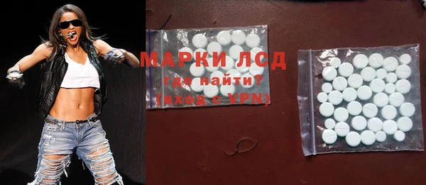 сатива Бородино
