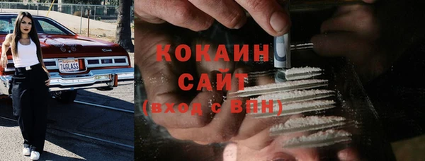сатива Бородино