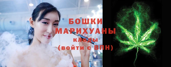 стаф Инта