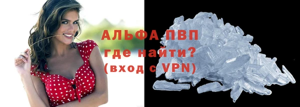 сатива Бородино