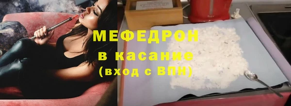 сатива Бородино