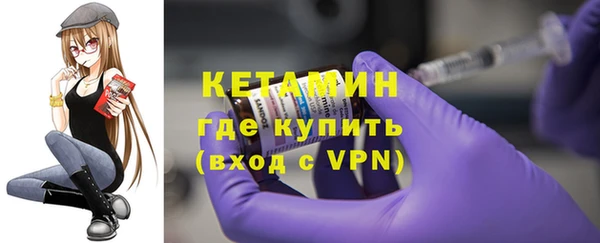 сатива Бородино
