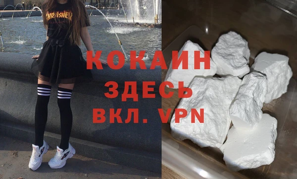 сатива Бородино