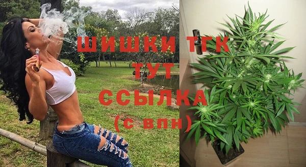 сатива Бородино