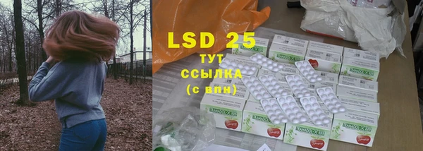 сатива Бородино