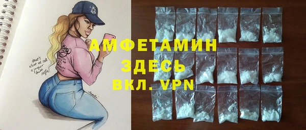сатива Бородино