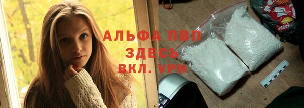 сатива Бородино