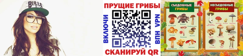 Псилоцибиновые грибы мухоморы  mega зеркало  Краснознаменск 